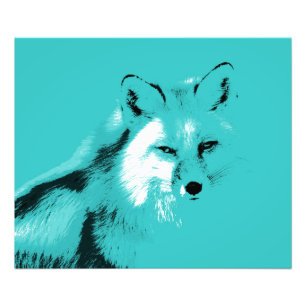 Schöner Türkisblauer Fuchs Fotodruck