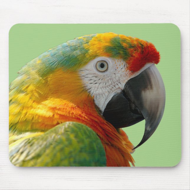 Schöner und farbenfroher Papagei Mousepad (Vorne)