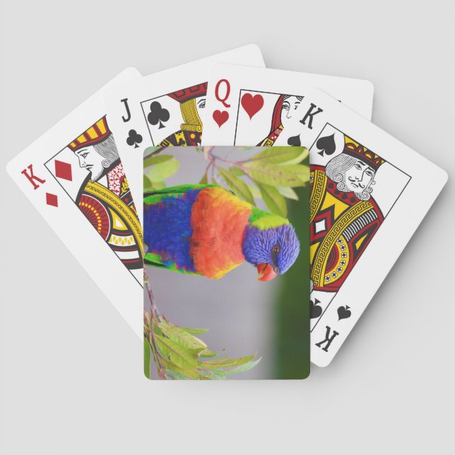 Schöner und farbenfroher Regenbogen Lorikeet Parro Spielkarten (Rückseite)