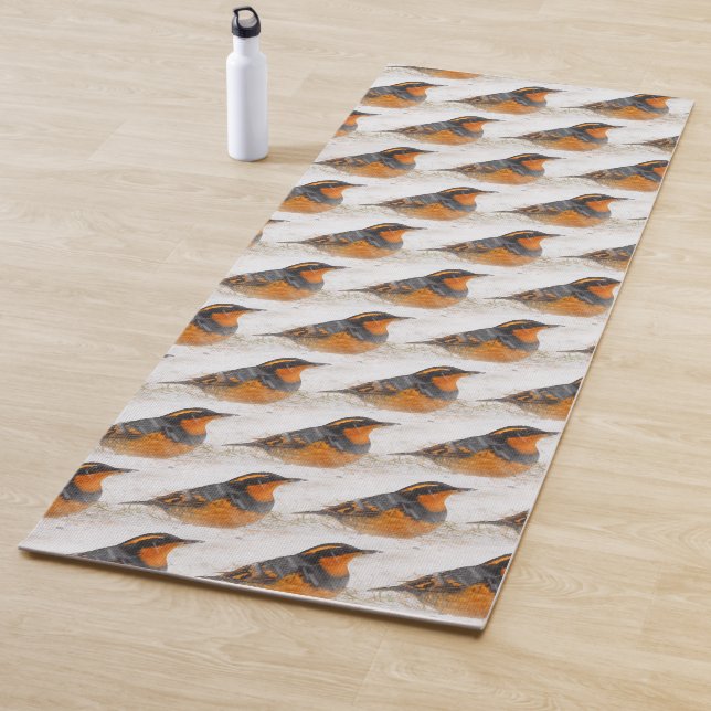 Schöner Varied Thrush am Winterschnee Yogamatte (Beispiel)