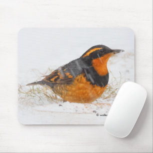 Schöner Varieté-Songbird im Schnee Mousepad
