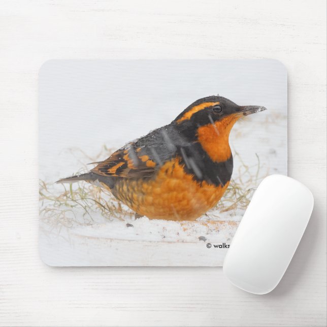 Schöner Varieté-Songbird im Schnee Mousepad (Mit Mouse)