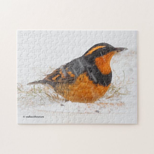 Schöner Varieté-Songbird im Schnee Puzzle (Horizontal)