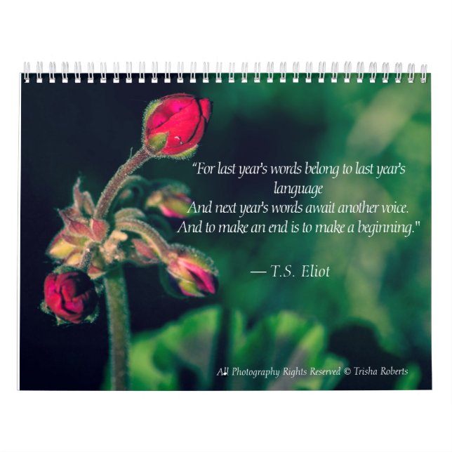 Schöner Vielzahl-Fotografie-Kalender 2018 Kalender (Titelbild)