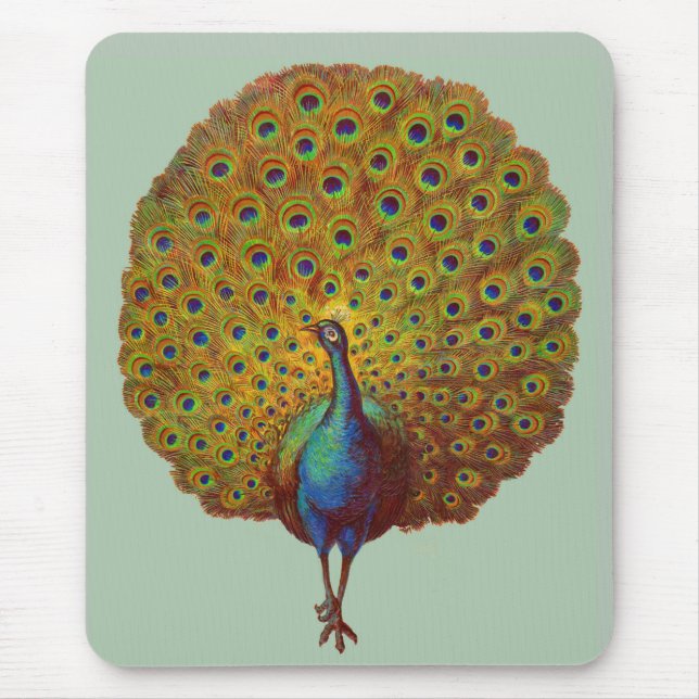 schöner Viktorianischer Pfauendruck Mousepad (Vorne)