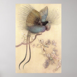 Schöner Vogel des Paradieses von Warwick Goble Pos Poster