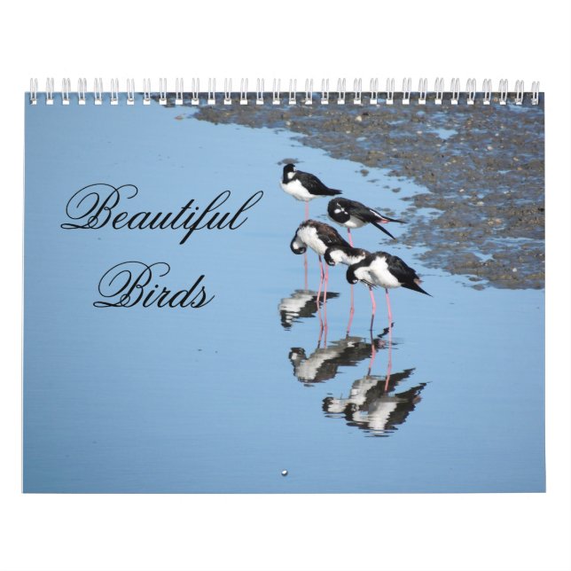 Schöner Vögel Kalender (Titelbild)