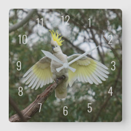 Schöner Vogel-Papagei-Spread-Flügel Quadratische Wanduhr