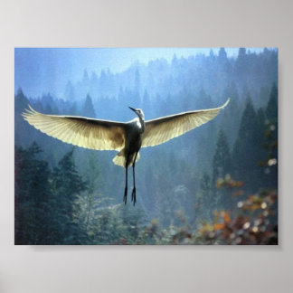 schöner Vogel Poster