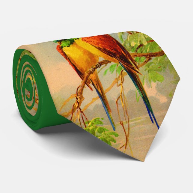 schöner Vogeldruck Krawatte (Gerollt)