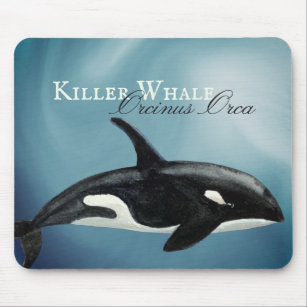 Schöner Wal, Orcinus Orca Mousepad