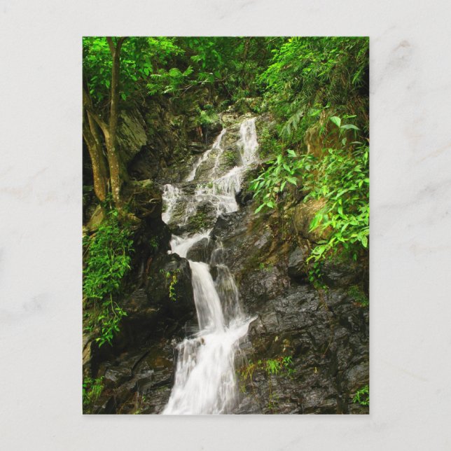 Schöner Wasserfall im Grünen Postkarte (Vorderseite)