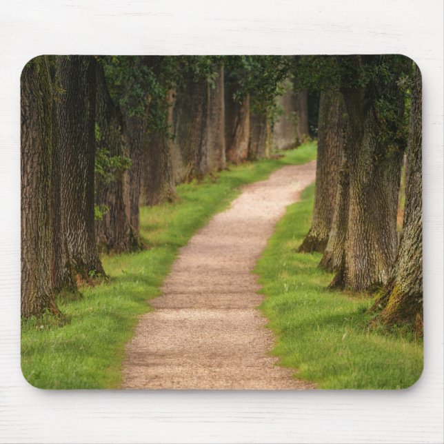 Schöner Weg durch die Bäume Mousepad (Vorne)