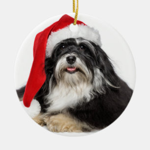 Schöner WeihnachtenHavanese Hund mit Keramik Ornament