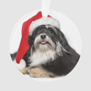 Schöner WeihnachtenHavanese Hund mit Ornament