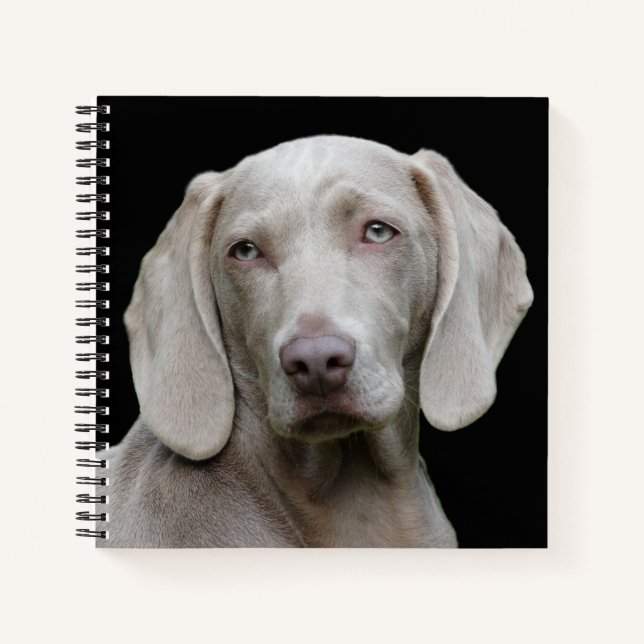 Schöner Weimaraner Jagdhund Notizbuch (Vorderseite)