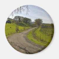 Schöner Weinberg im Napa Tal