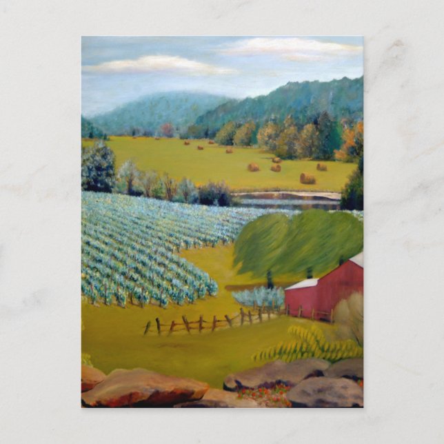 Schöner Weinkeller auf dem Augusta Missouri Farm Postkarte (Vorderseite)