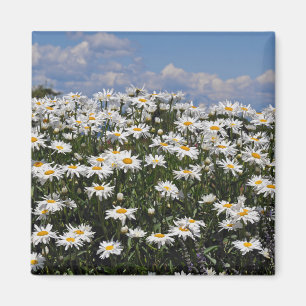 Schöner weißer Garten Magnet
