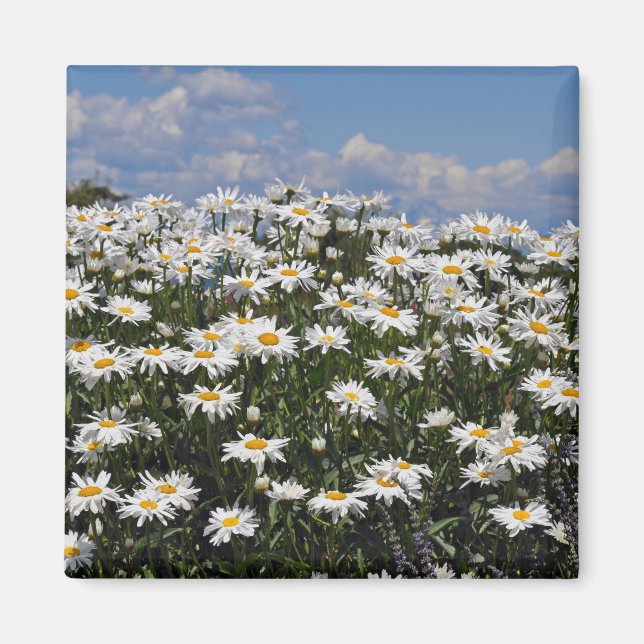 Schöner weißer Garten Magnet (Vorne)