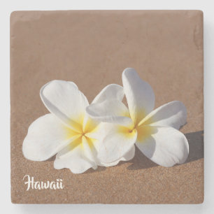 Schöner weißer hawaiischer Plumeria-Untersetzer Steinuntersetzer