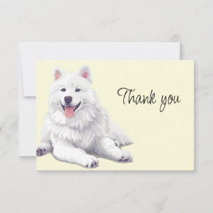 Schöner Weißer Hund Samojede oder Eskimo Danke
