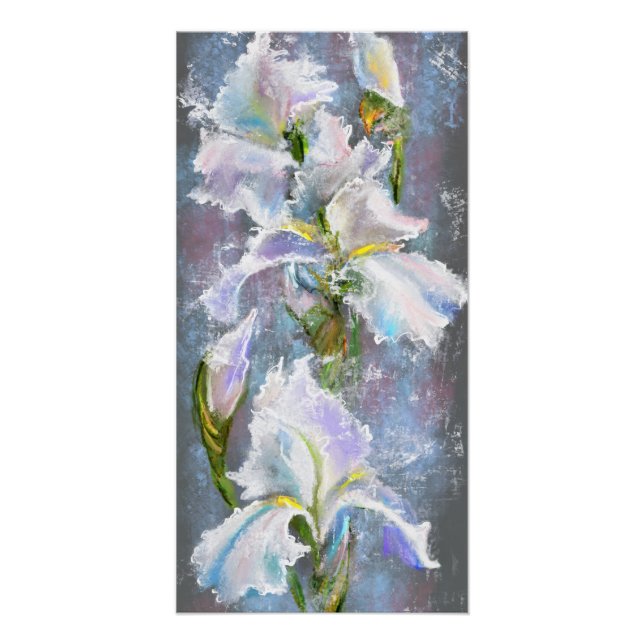 Schöner Weißer Iris Blumen Poster (Vorderseite)