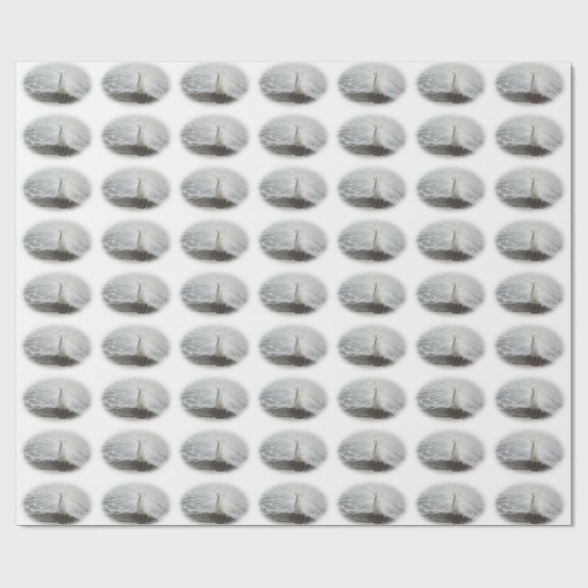 Schöner weißer Pfau Geschenkpapier (Flach)