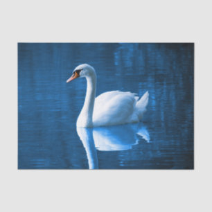 Schöner weißer Schwan im Wasser Seidenpapier