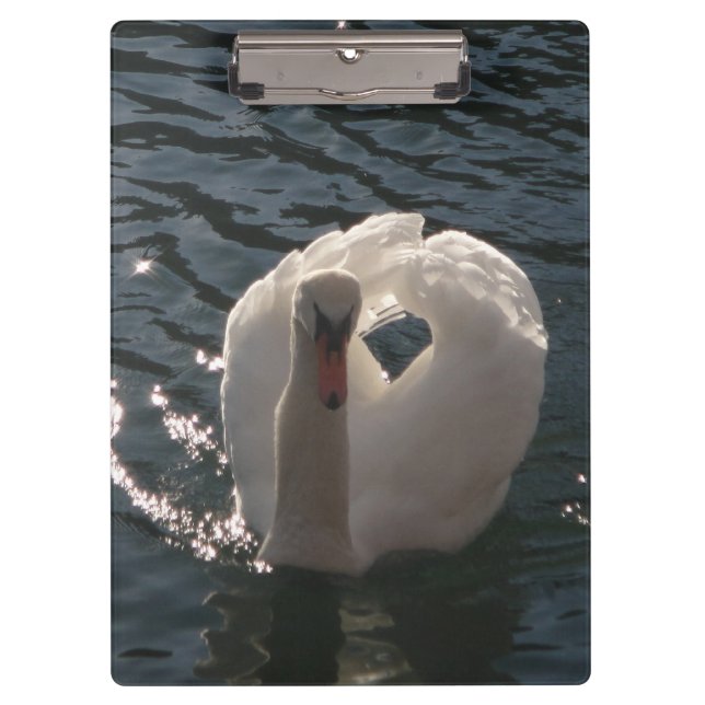 Schöner weißer Schwan Klemmbrett (Vorderseite)