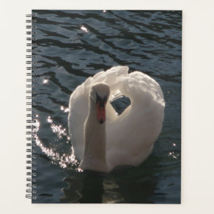 Schöner weißer Schwan Planer