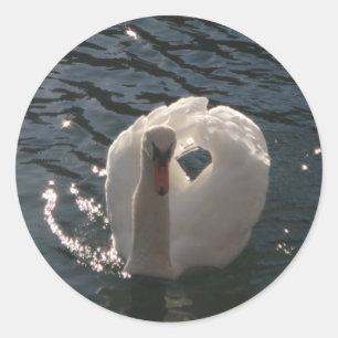 Schöner weißer Schwan Runder Aufkleber