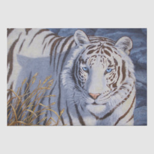Schöner weißer Tiger mit kristallblauen Augen Seidenpapier