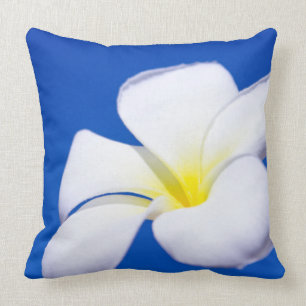 Schöner weißer tropischer Plumeria und blauer Kissen