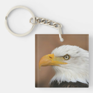 Schöner Weißkopfseeadler Schlüsselanhänger