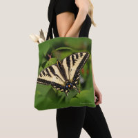 Schöner Western Tiger Frack Butterfly