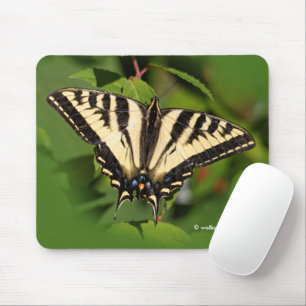 Schöner Western Tiger Frack Butterfly Mousepad