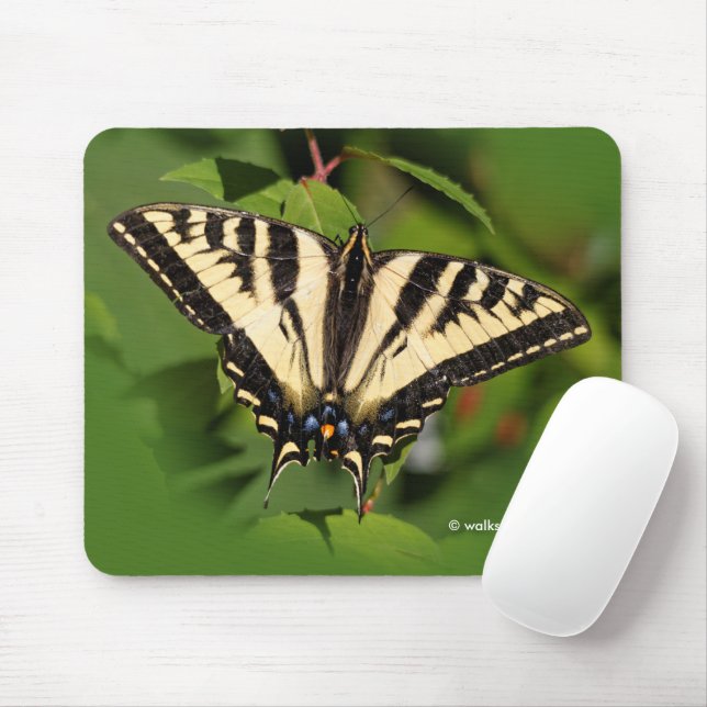 Schöner Western Tiger Frack Butterfly Mousepad (Mit Mouse)