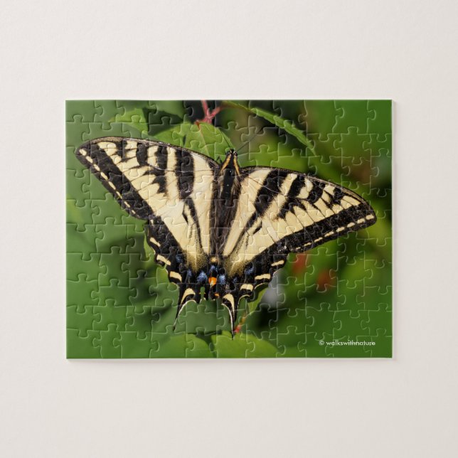 Schöner Western Tiger Frack Butterfly Puzzle (Horizontal)