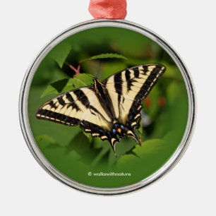 Schöner Western Tiger Frack Butterfly Silbernes Ornament