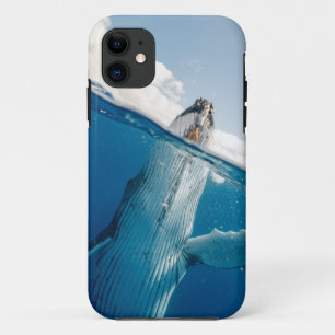 Schöner Whale Case-Mate iPhone Hülle