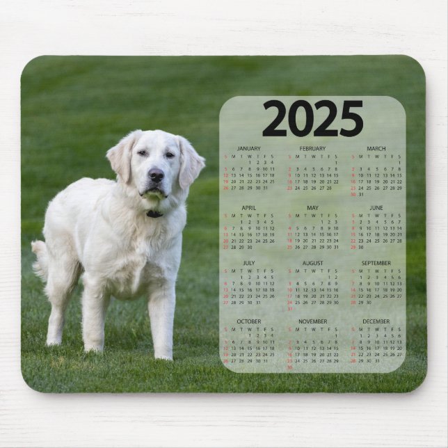 Schöner White Labrador 2025 Dog Calendar Mousepad (Vorne)