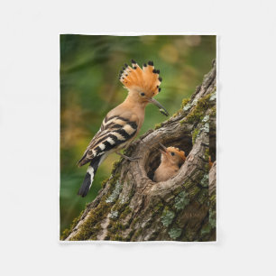 Schöner Wiedehopf-Vogel in der Nähe einer Baumhöhl Fleecedecke