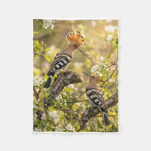 Schöner Wiedehopfvogel auf einem Baumzweig sitzend Fleecedecke