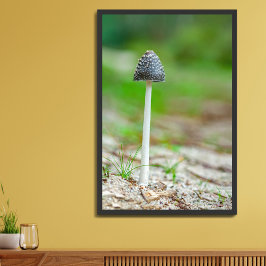 Schöner Wildpilz auf einem Herbstfeld Poster