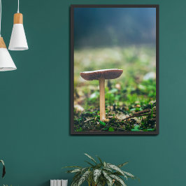Schöner Wildpilz auf einem Herbstfeld Poster