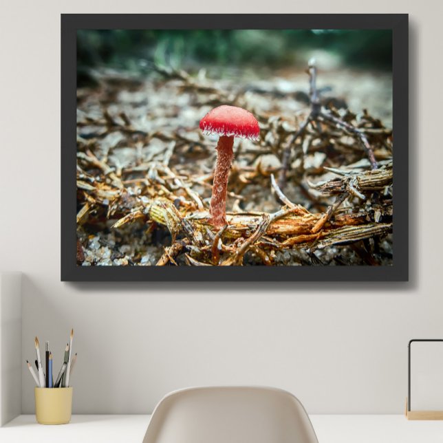 Schöner Wildpilz auf einem Herbstfeld Poster (Von Creator hochgeladen)