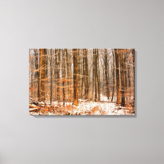 Schöner Winterwald mit Schnee Leinwanddruck