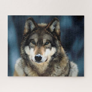 Schöner Wolf im Winter, Jigsaw Puzzle