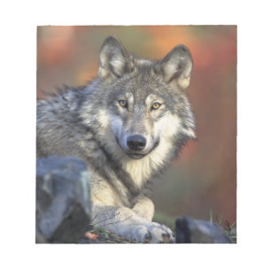 Schöner Wolf Notizblock